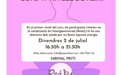 Curs 1r nivell de REIKI